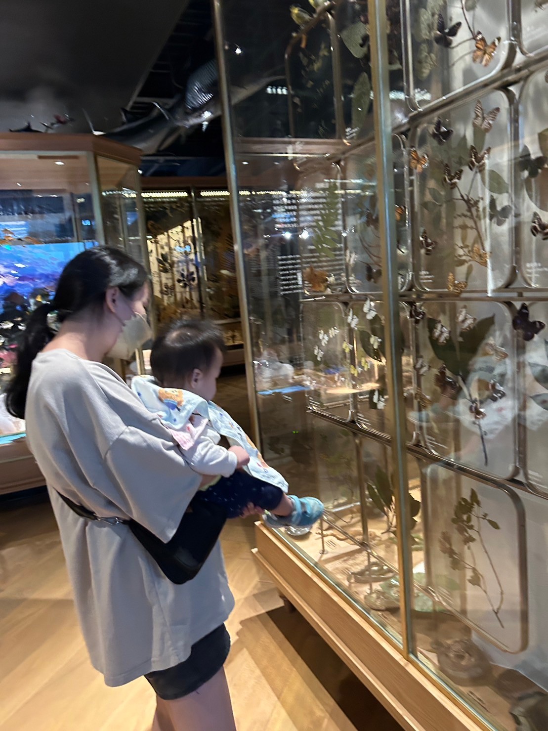 帶寶寶到博物館參與畢業活動