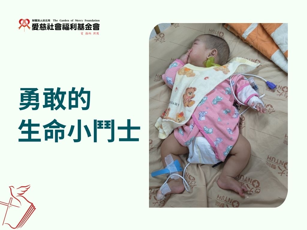 勇敢的生命小鬥士(標題圖檔)