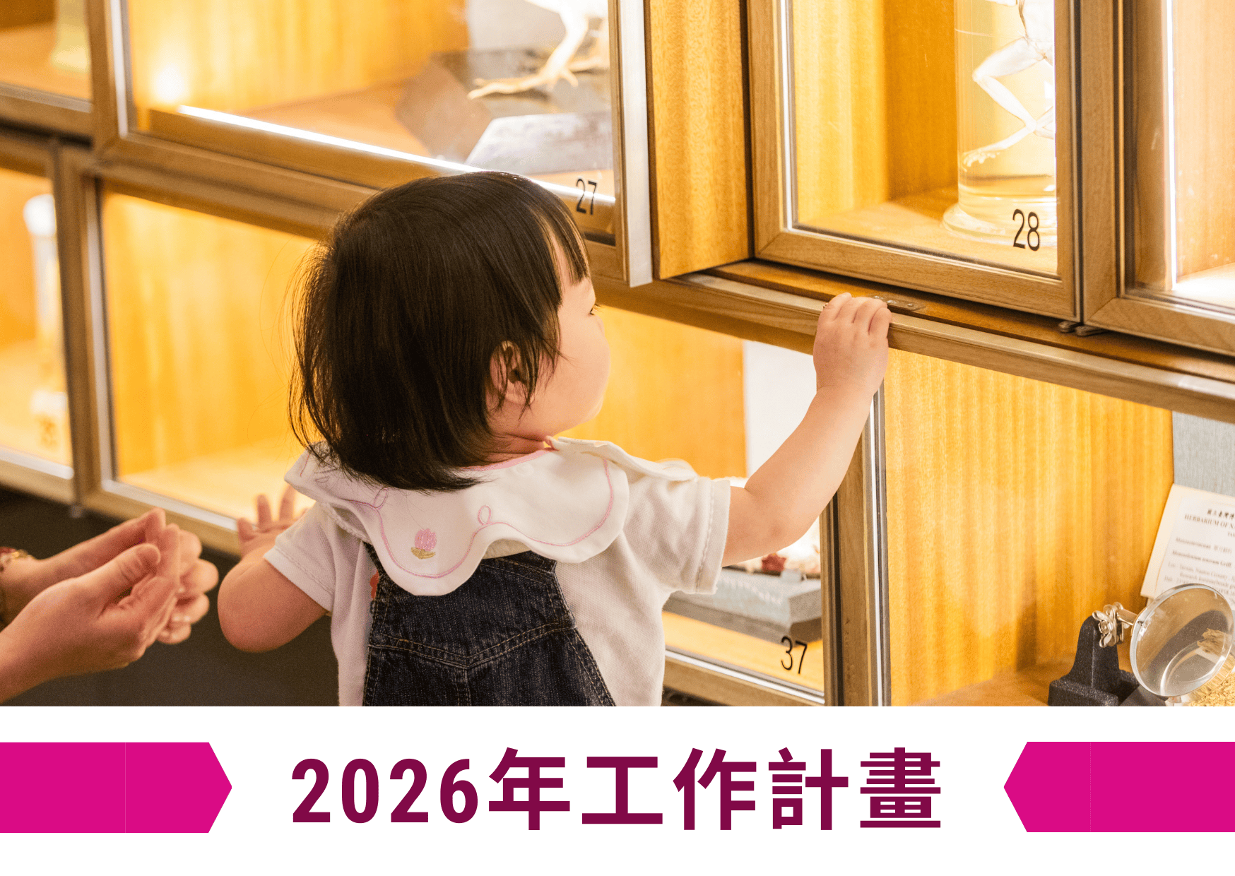 2026年(標題圖檔)